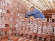VHL hủy phương án tăng vốn lên 160 tỷ đồng